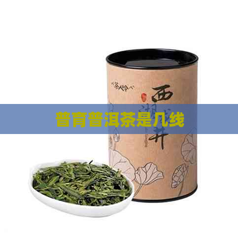 普育普洱茶是几线