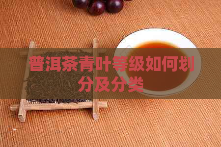 普洱茶青叶等级如何划分及分类