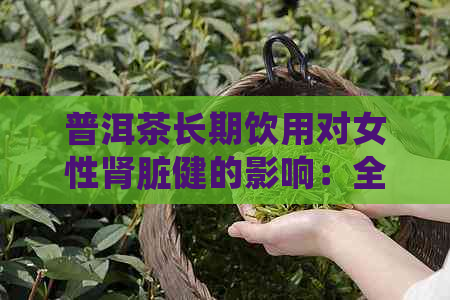 普洱茶长期饮用对女性肾脏健的影响：全面解答与健建议