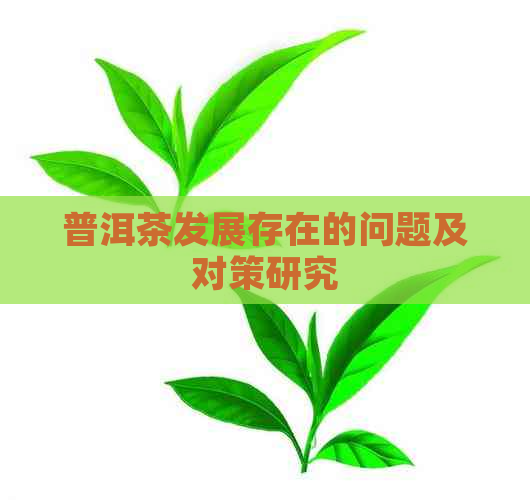 普洱茶发展存在的问题及对策研究