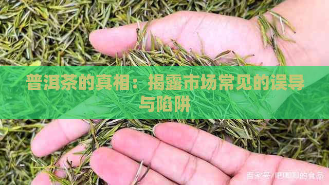 普洱茶的真相：揭露市场常见的误导与陷阱