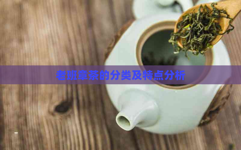 老班章茶的分类及特点分析