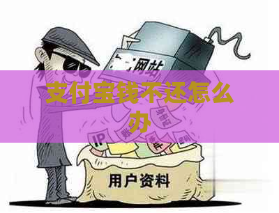 支付宝钱不还怎么办