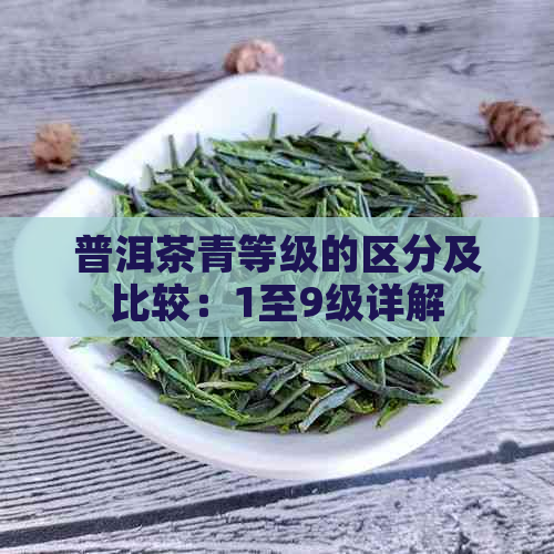 普洱茶青等级的区分及比较：1至9级详解