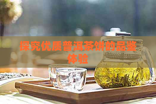 探究优质普洱茶饼的品鉴体验