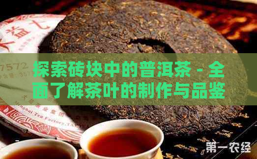 探索砖块中的普洱茶 - 全面了解茶叶的制作与品鉴技巧