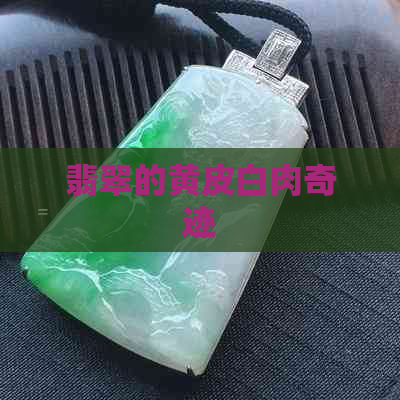 翡翠的黄皮白肉奇迹