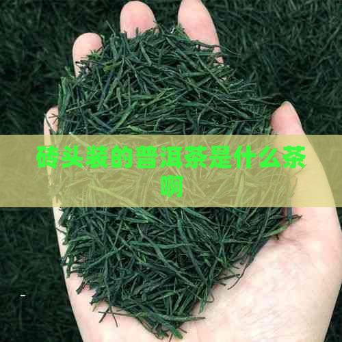 砖头装的普洱茶是什么茶啊