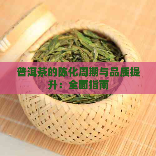 普洱茶的陈化周期与品质提升：全面指南