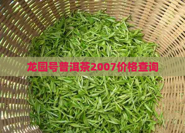 龙园号普洱茶2007价格查询