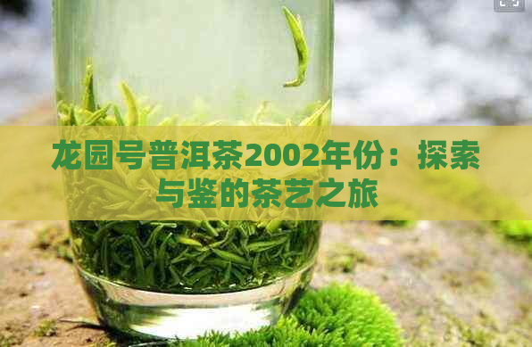 龙园号普洱茶2002年份：探索与鉴的茶艺之旅