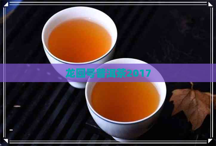 龙园号普洱茶2017