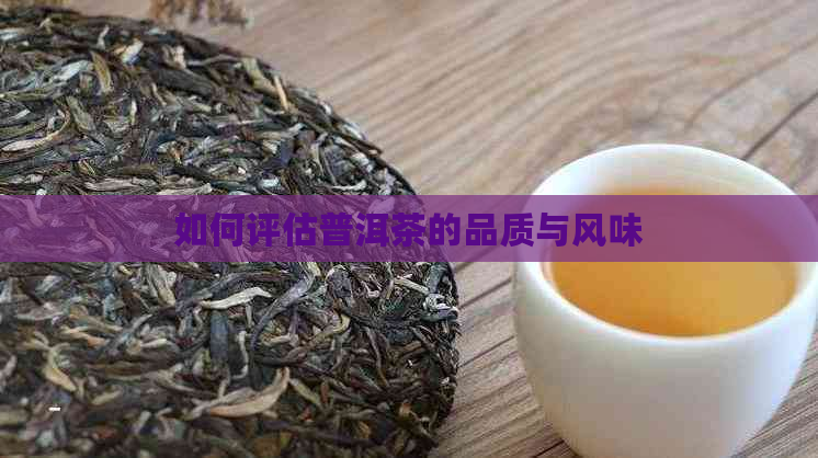 如何评估普洱茶的品质与风味