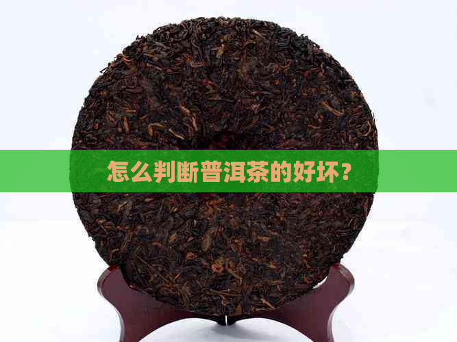 怎么判断普洱茶的好坏？