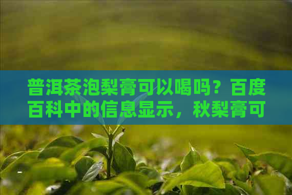 普洱茶泡梨膏可以喝吗？百度百科中的信息显示，秋梨膏可以和普洱茶一起喝。