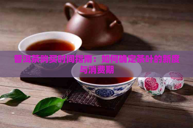 普洱茶购买时间指南：如何确定茶叶的新度与消费期