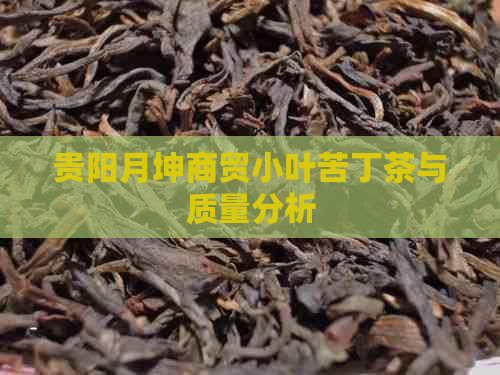 贵阳月坤商贸小叶苦丁茶与质量分析