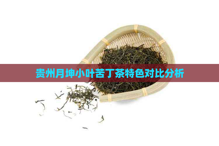 贵州月坤小叶苦丁茶特色对比分析