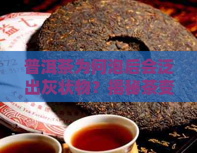 普洱茶为何泡后会泛出灰状物？揭秘茶变浑浊的原因