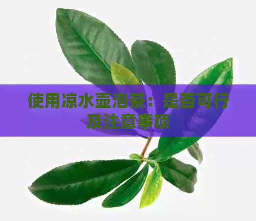 使用凉水壶泡茶：是否可行及注意事项