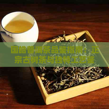 国皓普洱茶品鉴指南：正宗古树茶与独特工艺鉴