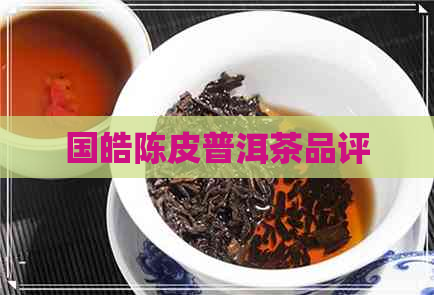 国皓陈皮普洱茶品评