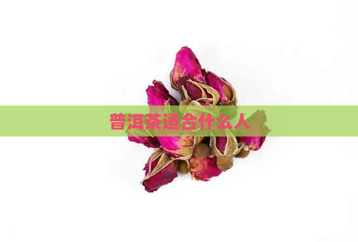 普洱茶适合什么人