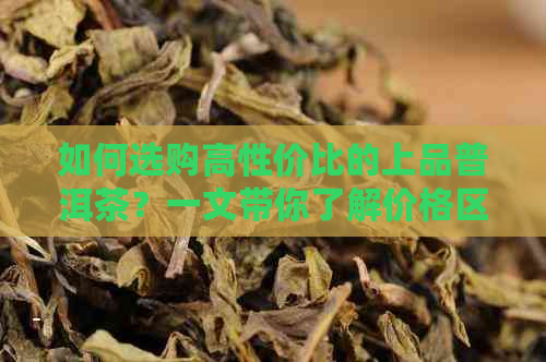 如何选购高性价比的上品普洱茶？一文带你了解价格区间与鉴别方法