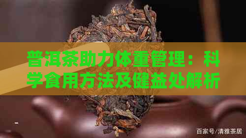 普洱茶助力体重管理：科学食用方法及健益处解析