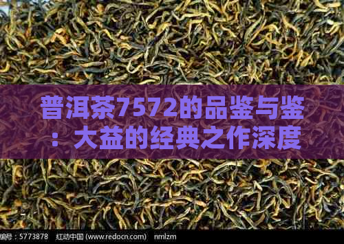 普洱茶7572的品鉴与鉴：大益的经典之作深度分析