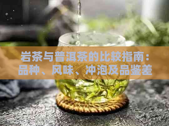 岩茶与普洱茶的比较指南：品种、风味、冲泡及品鉴差异分析