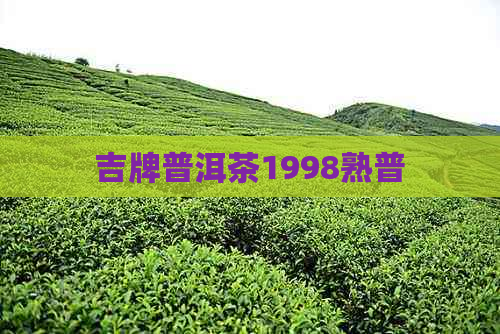 吉牌普洱茶1998熟普