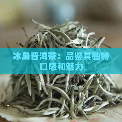 冰岛普洱茶：品鉴其独特口感和魅力