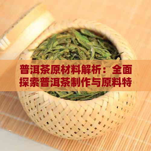 普洱茶原材料解析：全面探索普洱茶制作与原料特性