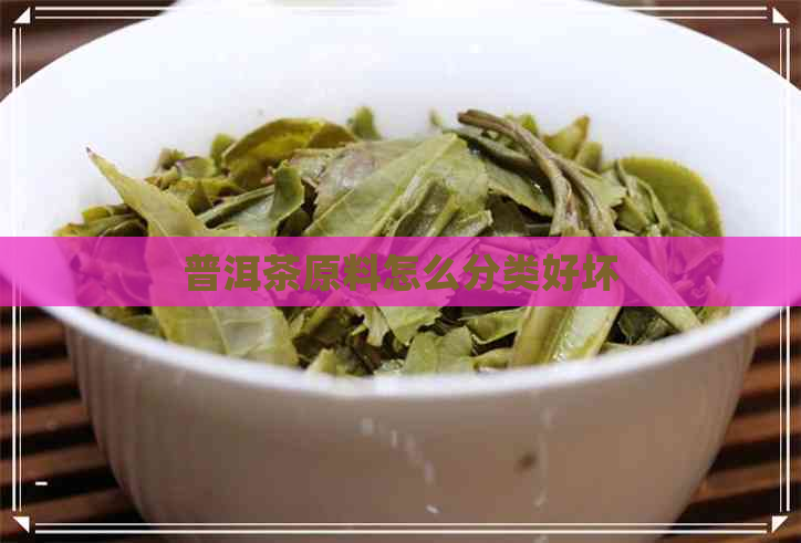 普洱茶原料怎么分类好坏