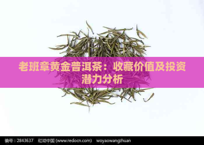 老班章黄金普洱茶：收藏价值及投资潜力分析