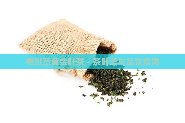 老班章黄金叶茶 - 茶叶鉴与品饮指南