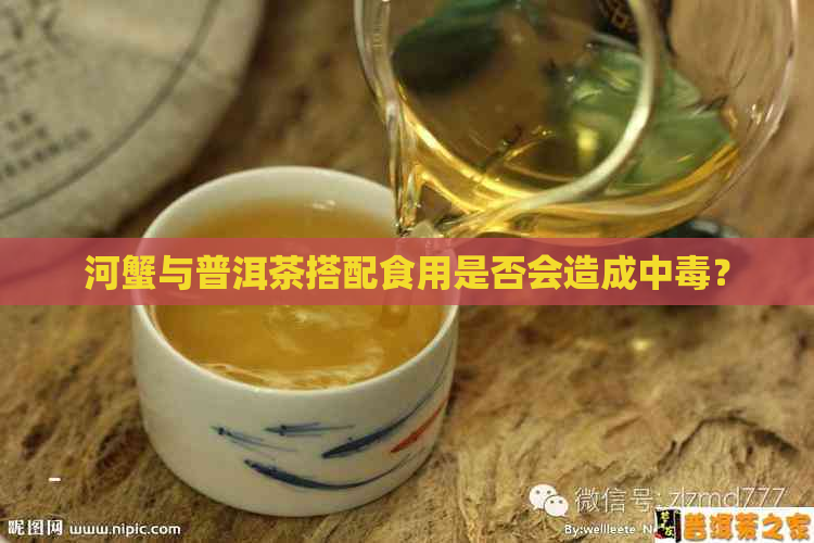 河蟹与普洱茶搭配食用是否会造成中？