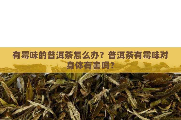 有霉味的普洱茶怎么办？普洱茶有霉味对身体有害吗？