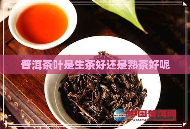 普洱茶叶是生茶好还是熟茶好呢