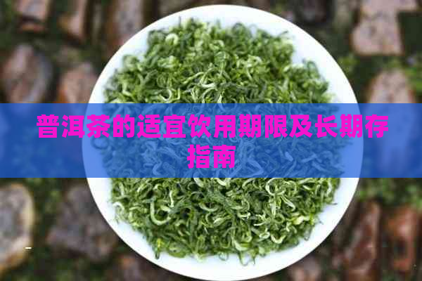 普洱茶的适宜饮用期限及长期存指南