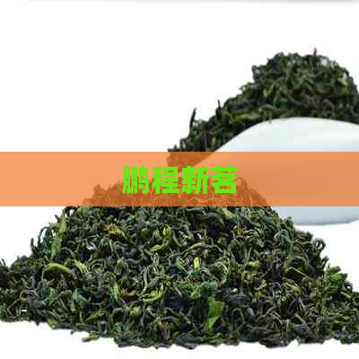 鹏程新茗