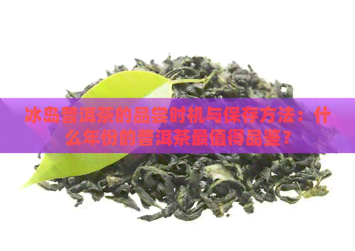 冰岛普洱茶的品尝时机与保存方法：什么年份的普洱茶最值得品鉴？