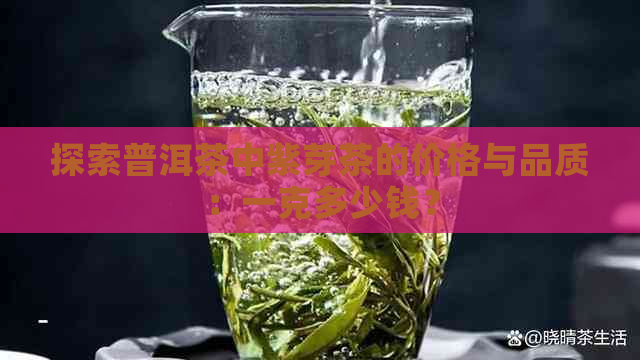 探索普洱茶中紫芽茶的价格与品质：一克多少钱？