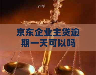 京东企业主贷逾期一天可以吗