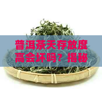 普洱茶天存放度高会坏吗？揭秘普洱茶的保存奥秘