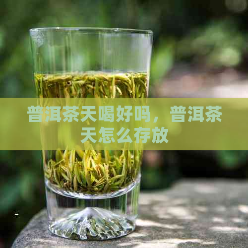 普洱茶天喝好吗，普洱茶天怎么存放