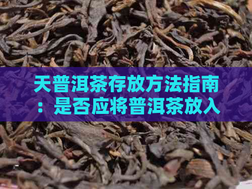 天普洱茶存放方法指南：是否应将普洱茶放入冰箱？