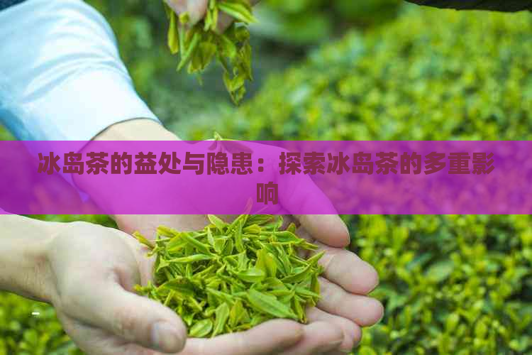 冰岛茶的益处与隐患：探索冰岛茶的多重影响