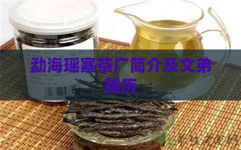 勐海瑶寨茶厂简介及文弟简历